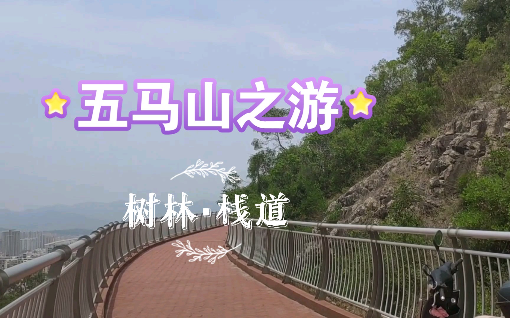 【旧】五马山之游树林ⷦ ˆ道哔哩哔哩bilibili