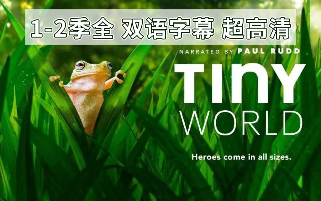 [图]【神级纪录片！视觉盛宴】《Tiny World》小小世界1-2季双语字幕