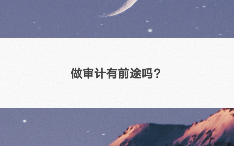 做审计有前途吗?哔哩哔哩bilibili