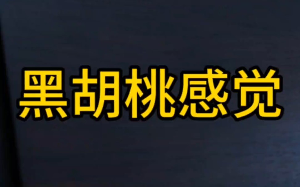 极简轻奢木门黑胡桃全屋定制北京林哥带您到工厂哔哩哔哩bilibili