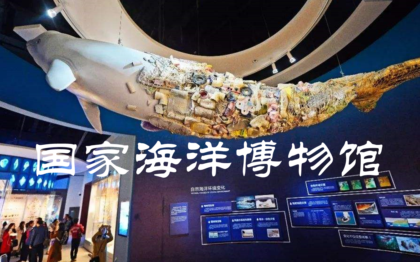 带你云游aaaa级中国国家海洋博物馆领略海洋文明与海洋精灵远古海洋