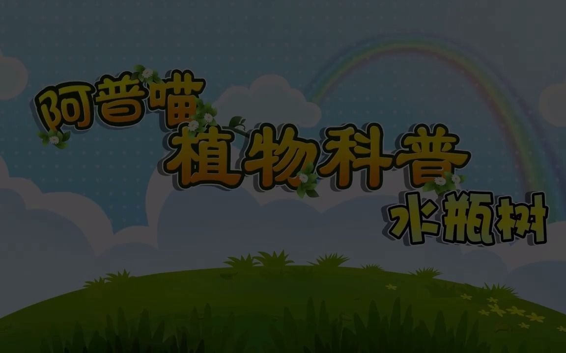 阿普喵植物科普之《水瓶树》哔哩哔哩bilibili