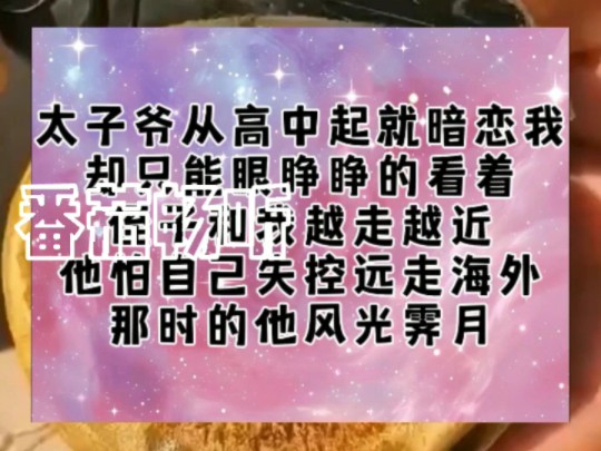 太子爷从高中起就暗恋我却只能眼睁睁的看着侄子和我越走越近他怕自己失控远走海外那时的他风光霁月哔哩哔哩bilibili