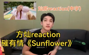 Download Video: 中字｜方灿reaction磪有情solo出道曲《Sunflower》｜灿尼说很感谢之前在电视台时Weki Meki前辈们请skz喝了咖啡【Stray Kids】