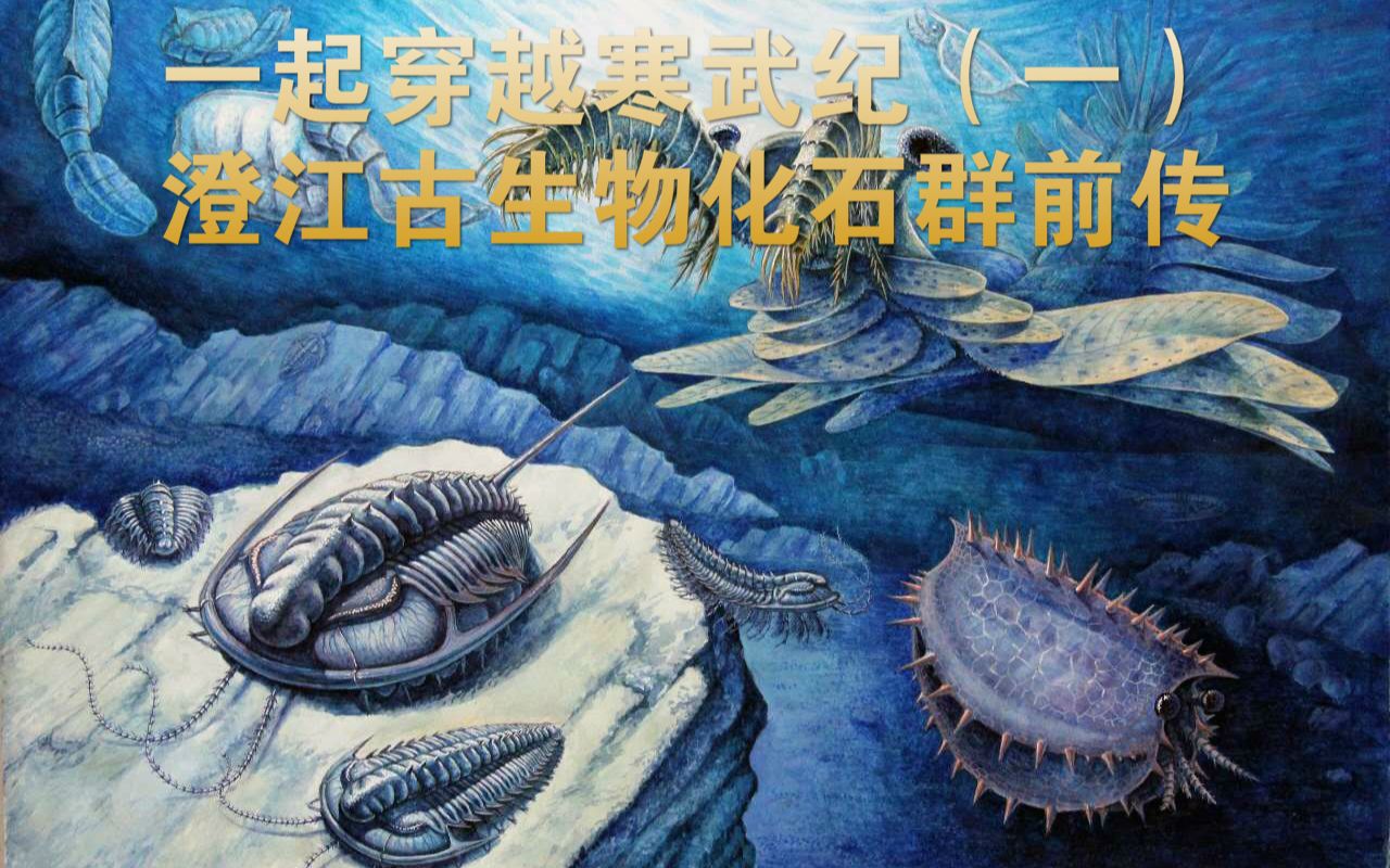 澄江生物群复原图图片