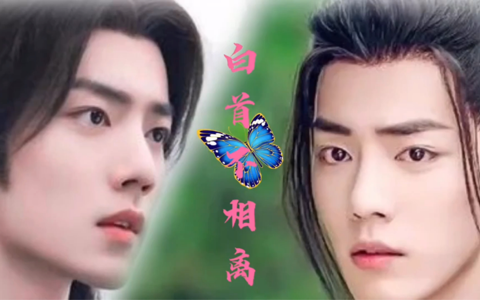 (肖战水仙剧)白首不相离(羡三)双洁 合集 不喜勿喷(完结)