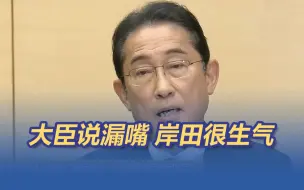 下载视频: 核污染水！日本大臣终于说了实话，岸田很生气