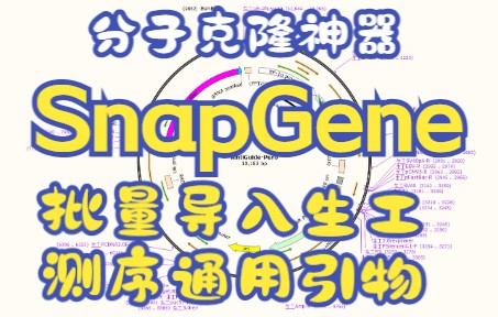 SnapGene批量导入通用引物,测序不再纠结哔哩哔哩bilibili