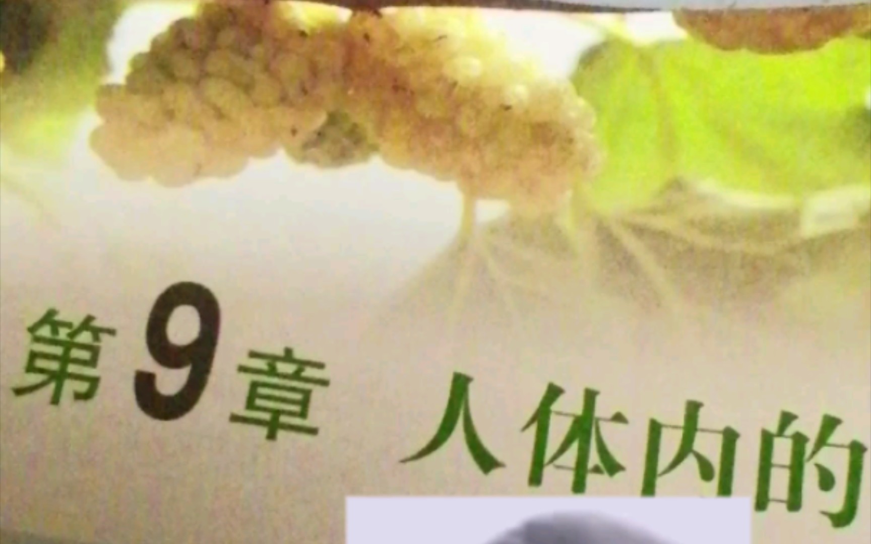 [图]生物书也是小黑子（悲）