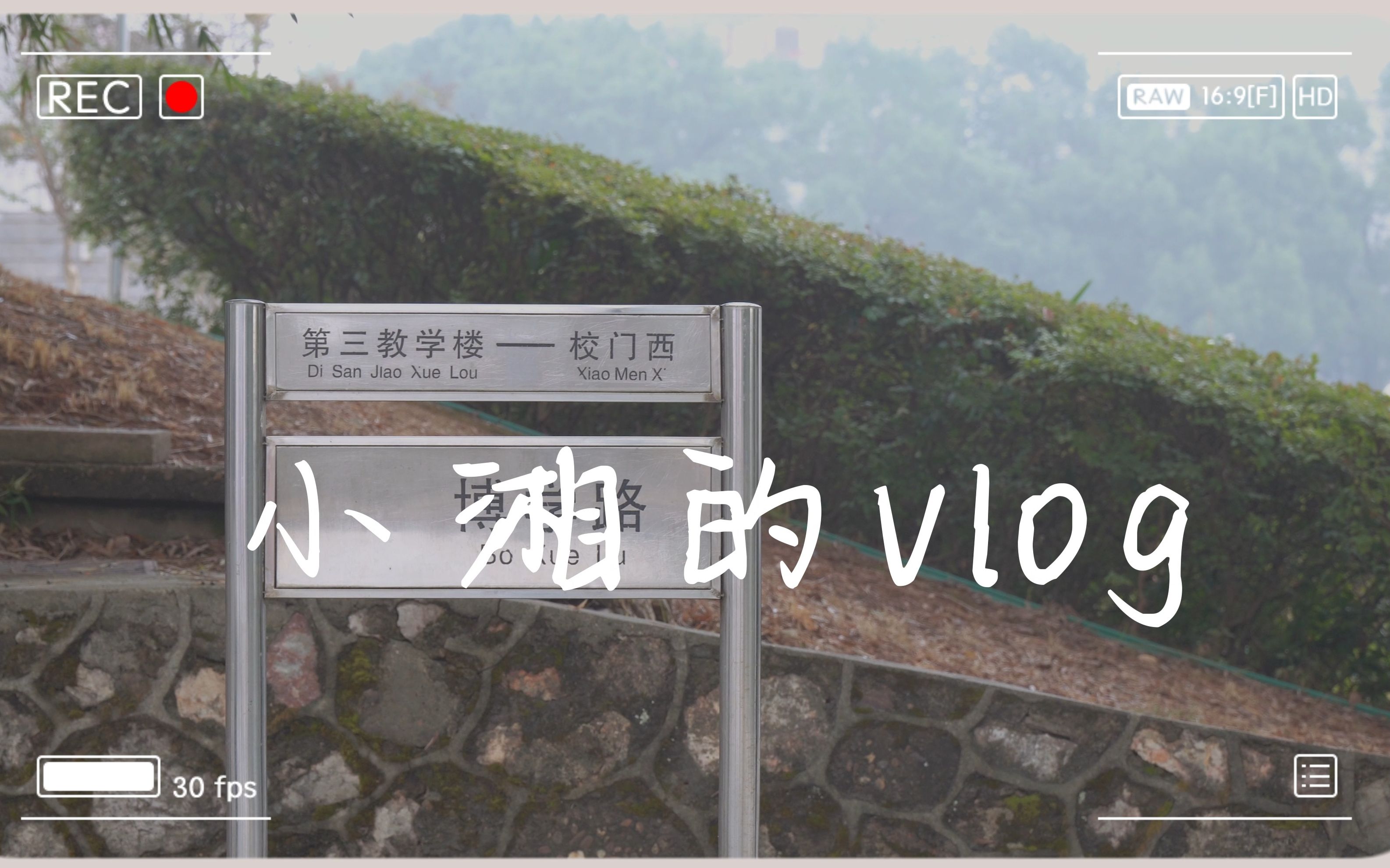 小湘的vlog哔哩哔哩bilibili