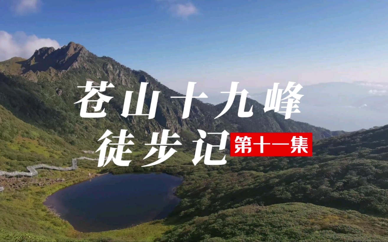 苍山十九峰第十一集|凌晨2点出发,第一次登顶大理苍山之巅马龙峰,兴奋的不得了哔哩哔哩bilibili