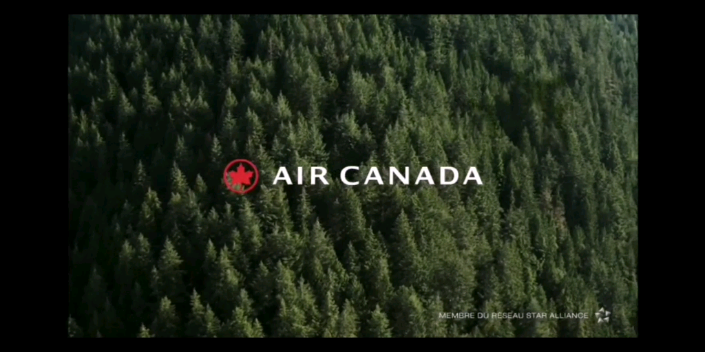 加拿大航空 Air Canada哔哩哔哩bilibili