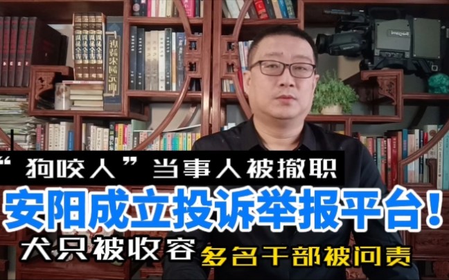 王新刚被撤职,犬只被收容,安阳成立投诉举报平台!哔哩哔哩bilibili