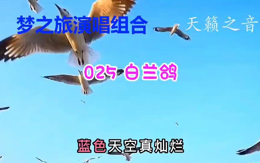 [图]梦之旅演唱组合025白兰鸽#经典老歌#怀旧经典#音乐