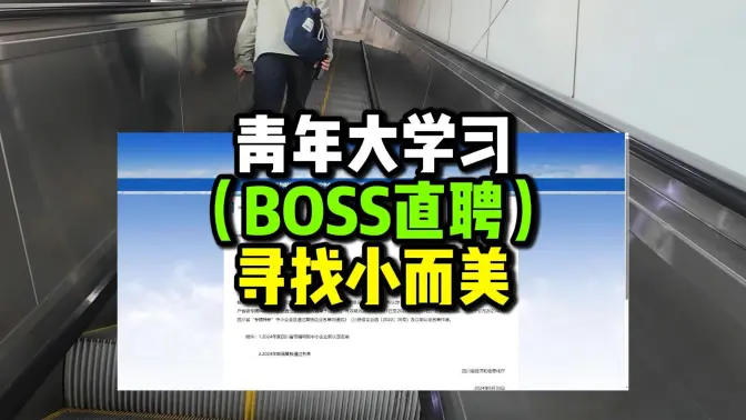 这才是真正的青年大学习！！！ boss直聘如何寻找小而美的公司。又是一期怒肝12天的干货内容
