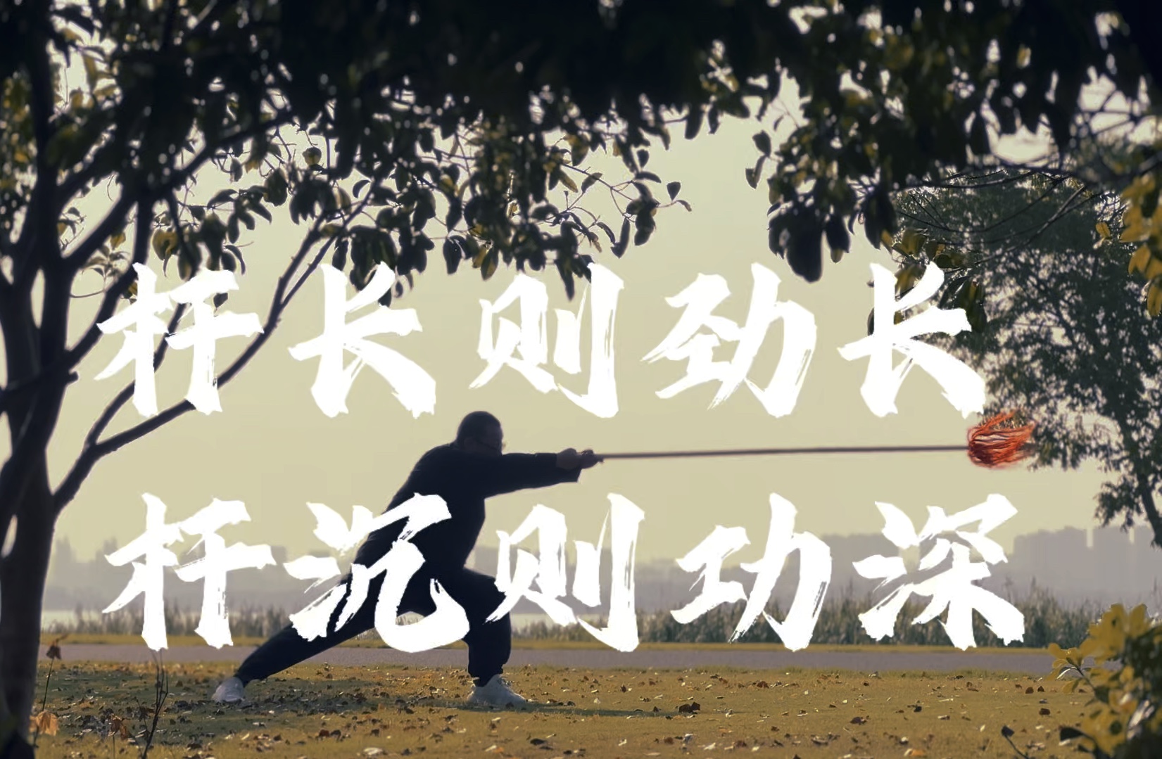 杆长劲长,杆沉功深,以枪练劲#内家拳 #形意拳 #翀师兄哔哩哔哩bilibili