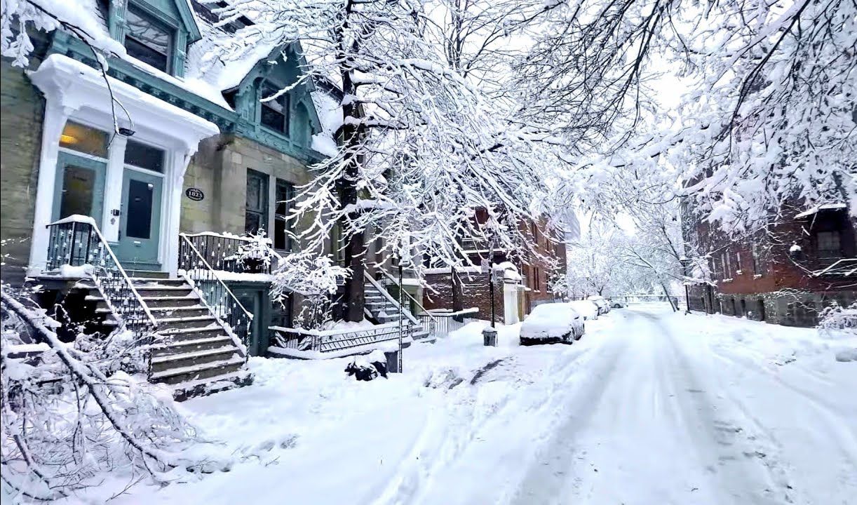 德国很冷!萨克森州大雪袭来!美丽的降雪氛围零下二十度!!哔哩哔哩bilibili