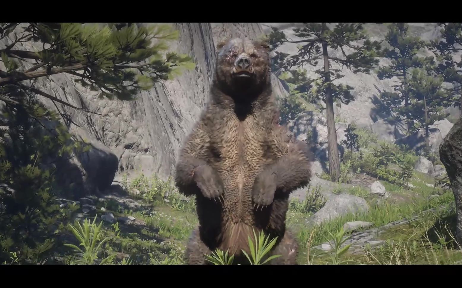 嗨荒野大镖客救赎2预购马与传说熊10