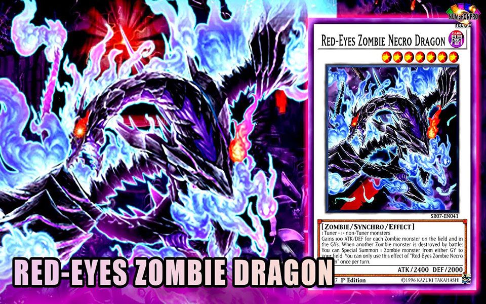 [numeronpro ygopro] 真红眼不尸龙卡组 2020 yugioh