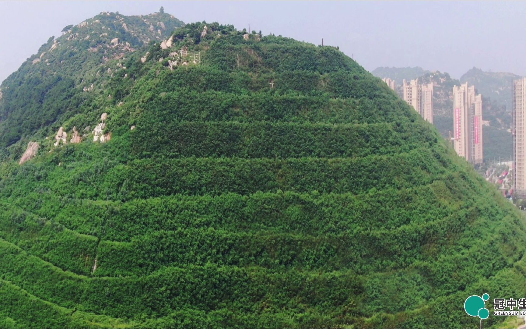 冠中生态项目案例-福建漳州破损山体植被恢复项目修复前后对比图