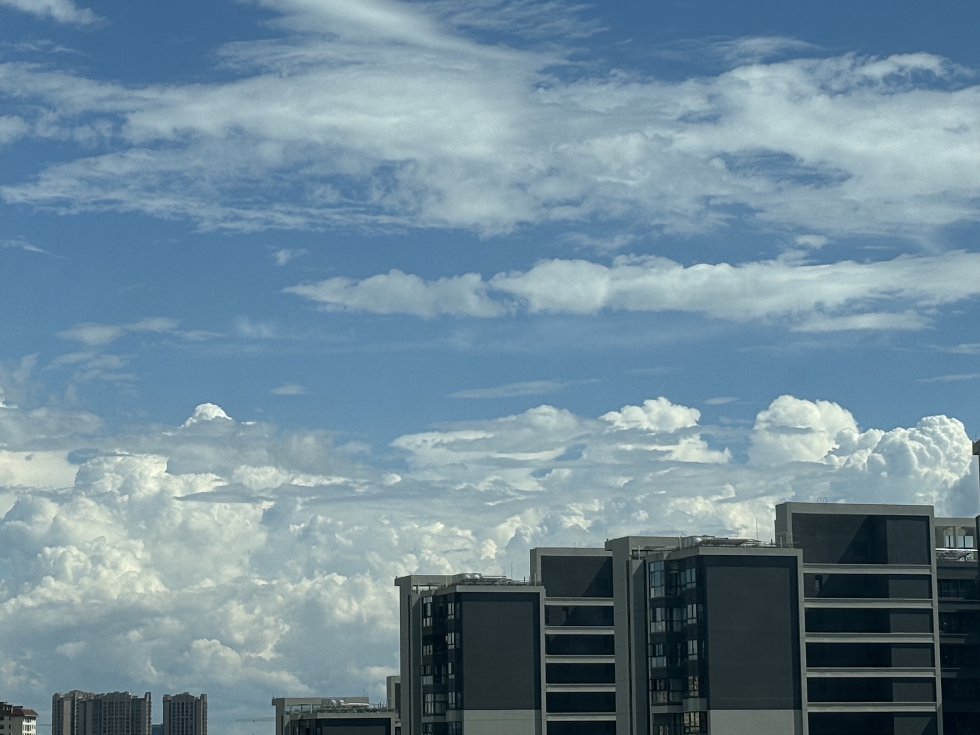 "不要留下我一人,我想回家…"