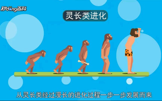 人类进化史哔哩哔哩bilibili