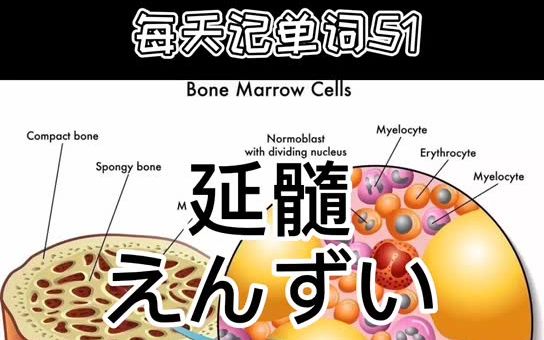 每天记日语单词(51) 无锡吉川日语学习分享~_哔哩哔