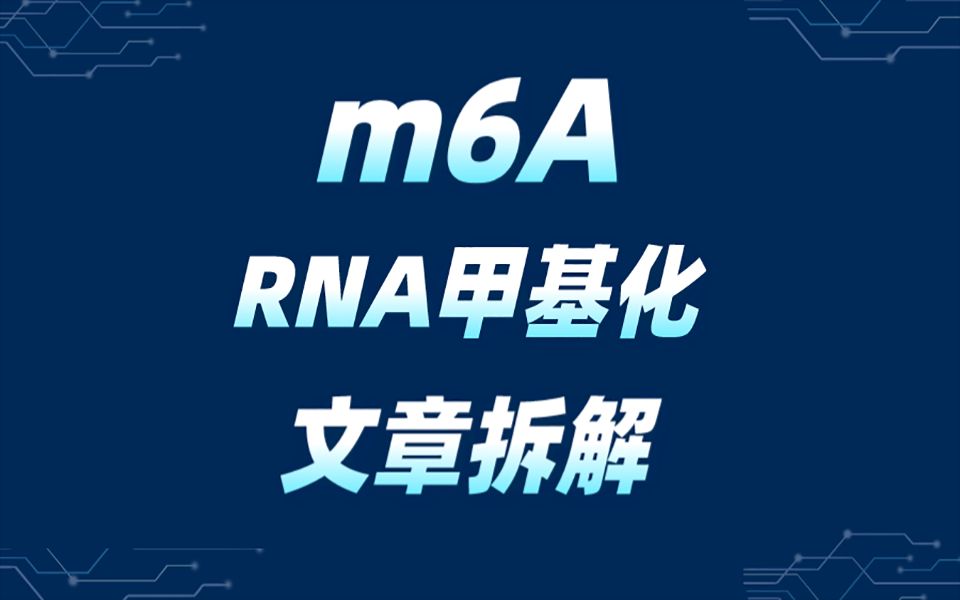 深度揭秘m6A甲基化在肿瘤发生和治疗中的作用哔哩哔哩bilibili