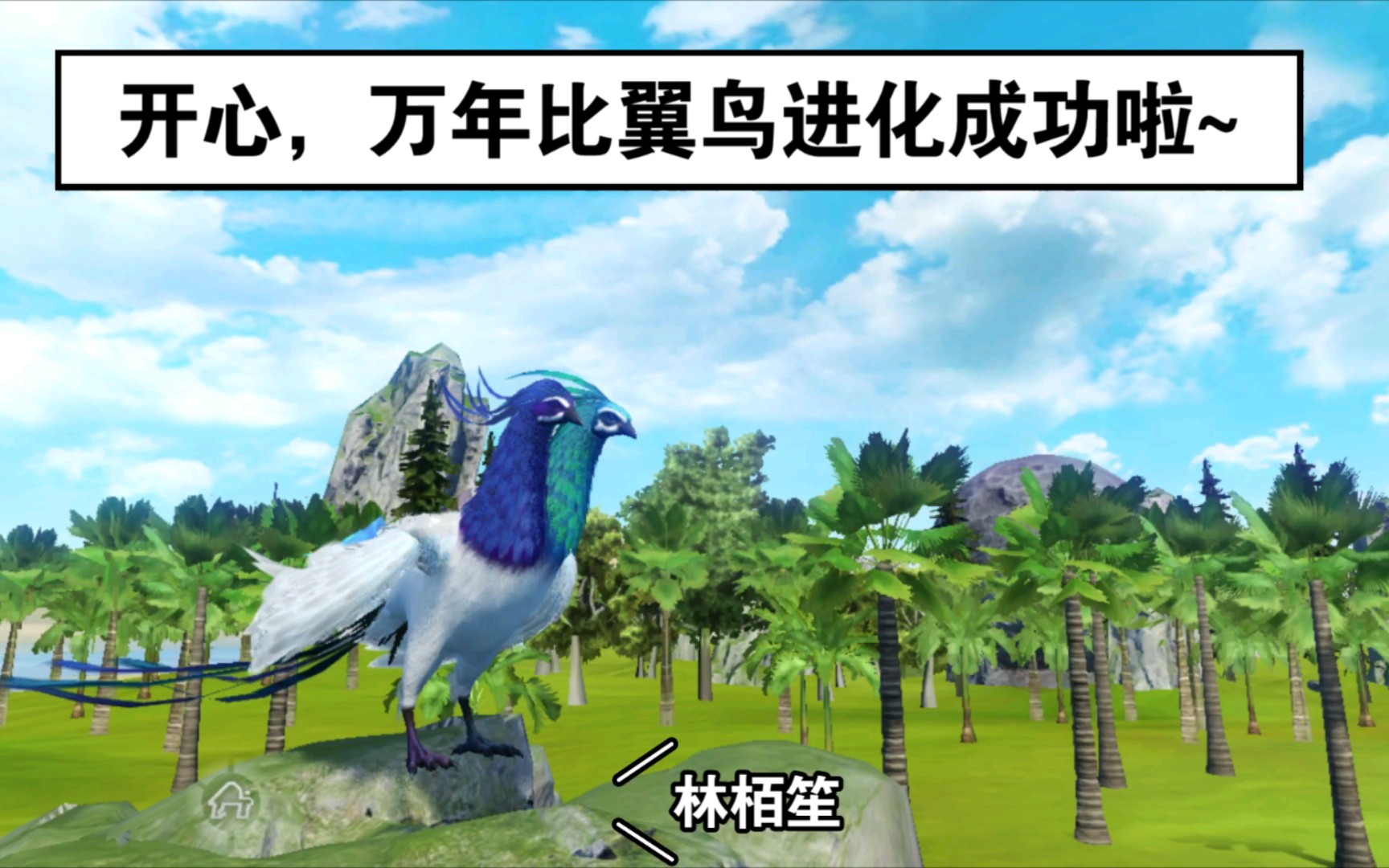 妄想山海比翼鸟万年进化成功啦