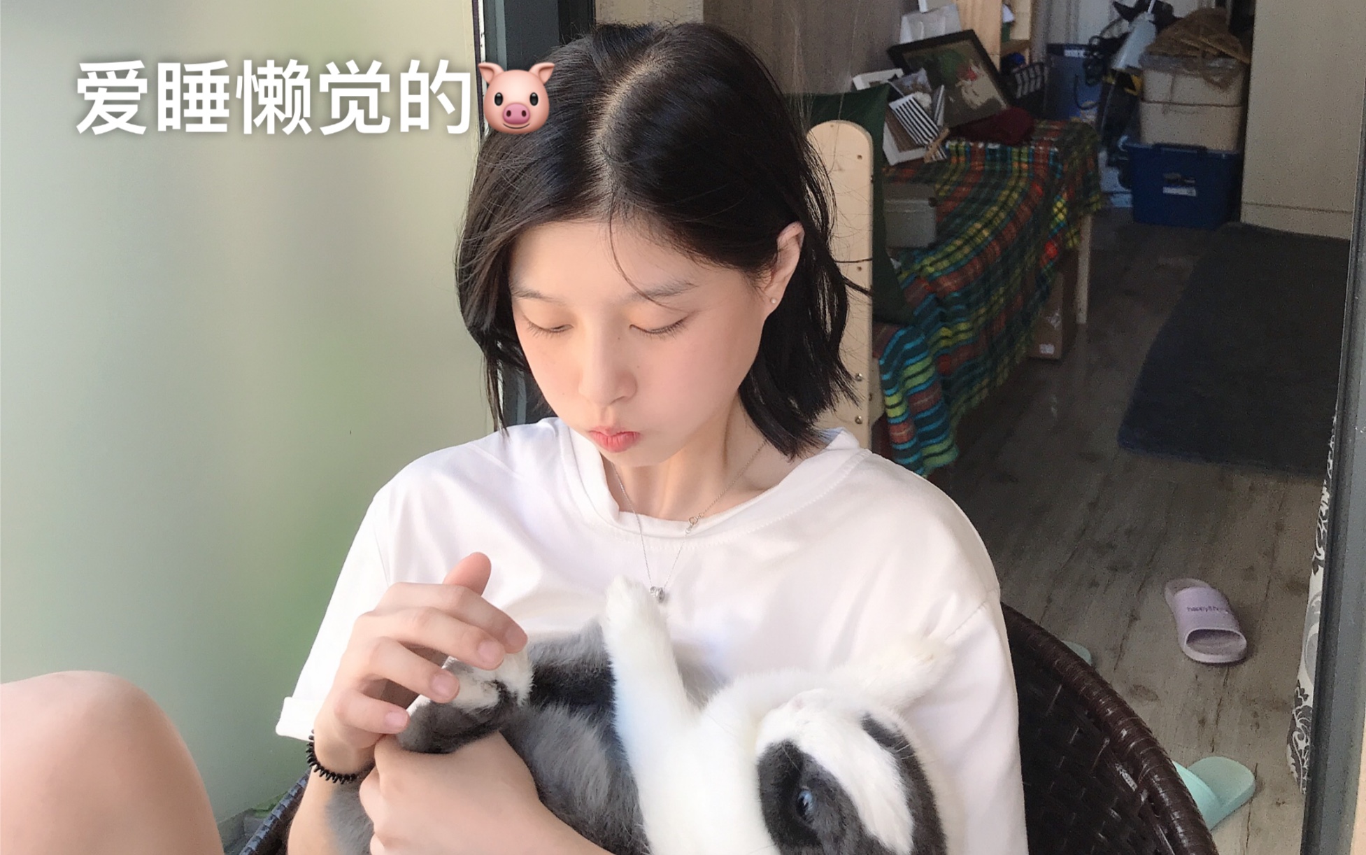 【梨的橙】日常合集vlog 最后有小橙睡觉的可爱模样!哔哩哔哩bilibili