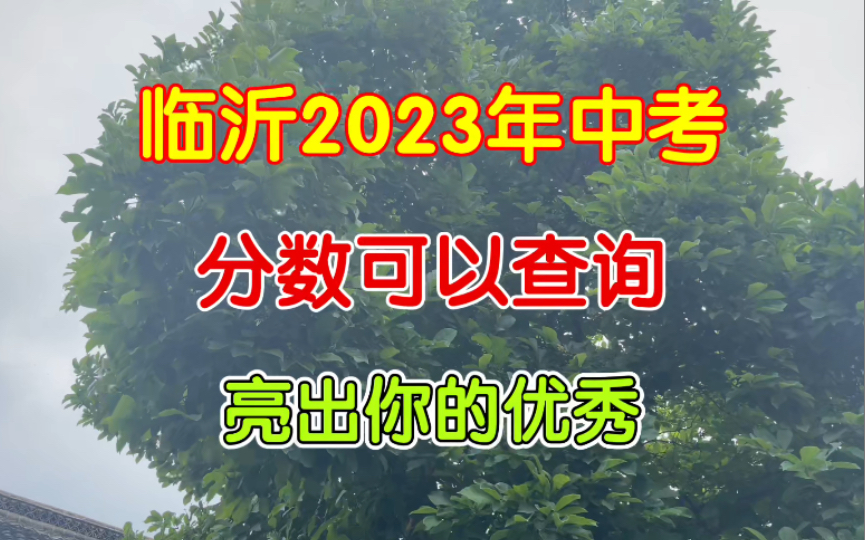 临沂2023年中考,已可查询成绩,亮出你的优秀哔哩哔哩bilibili