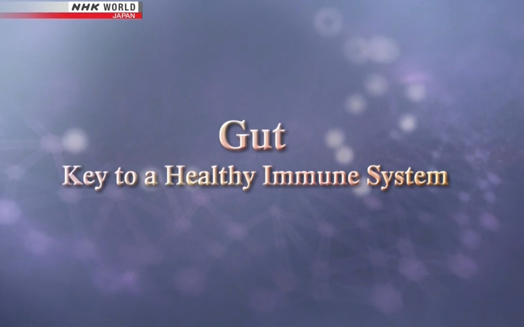 [图]【NHK】人体 第5集 肠胃：健康免疫系统的关键 The Body EP05 Gut Key To A Healthy Immune System