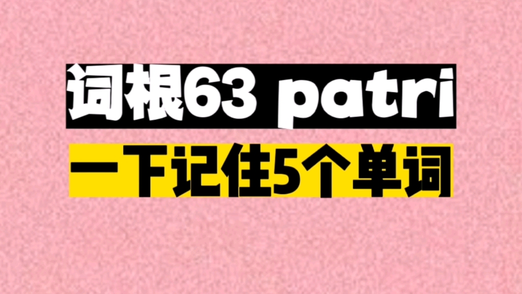 一个词根patri, 秒记5个单词哔哩哔哩bilibili