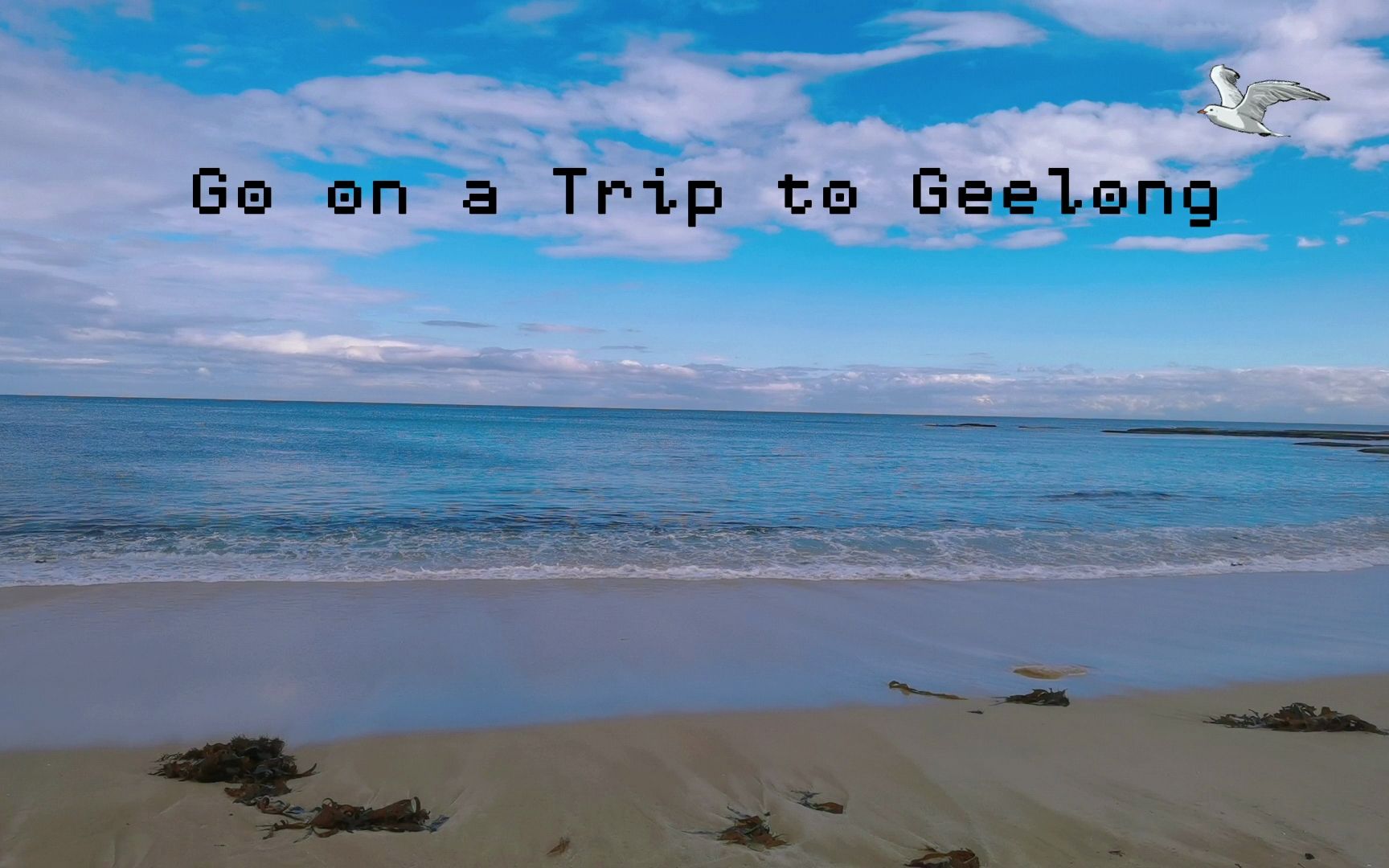 互动视频goonatriptogeelong