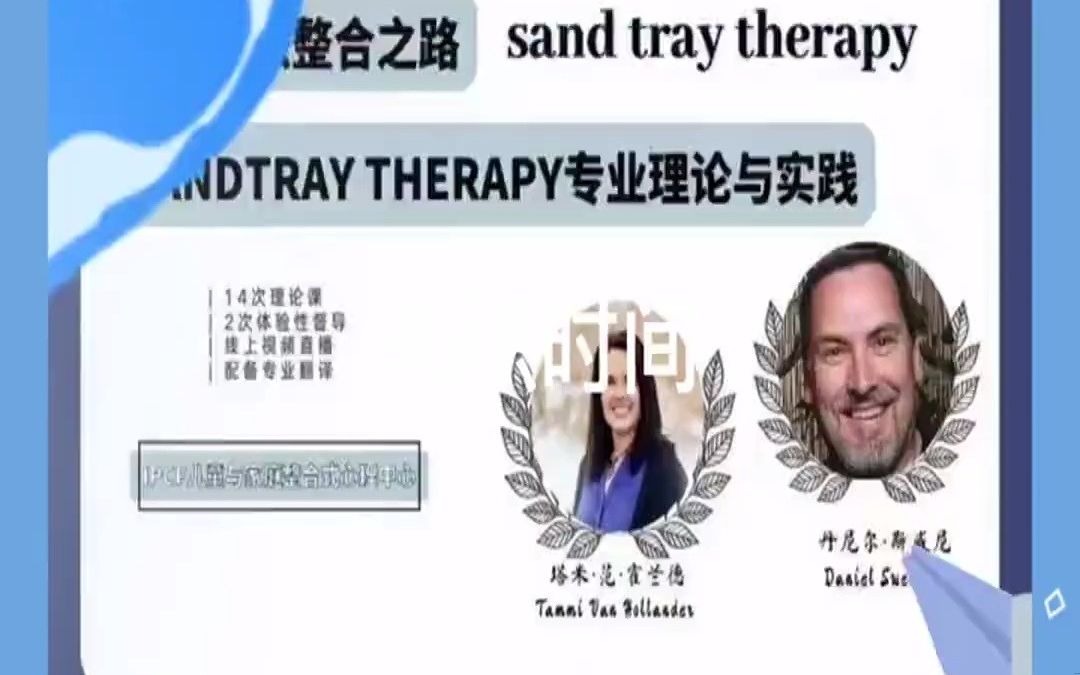 沙盘疗法整合之路 SandtrayTherapy专业理论与实践要学习SEE关注的人哔哩哔哩bilibili