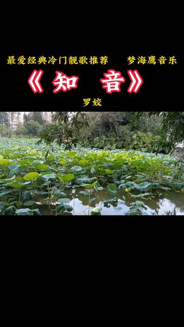 [图]罗姣，金婷婷，穆菲菲，刘紫玲，李谷一同唱经典冷门靓歌《知音》，你更喜欢哪一首？