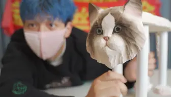 过年了，我又给猫买了点小玩意儿……