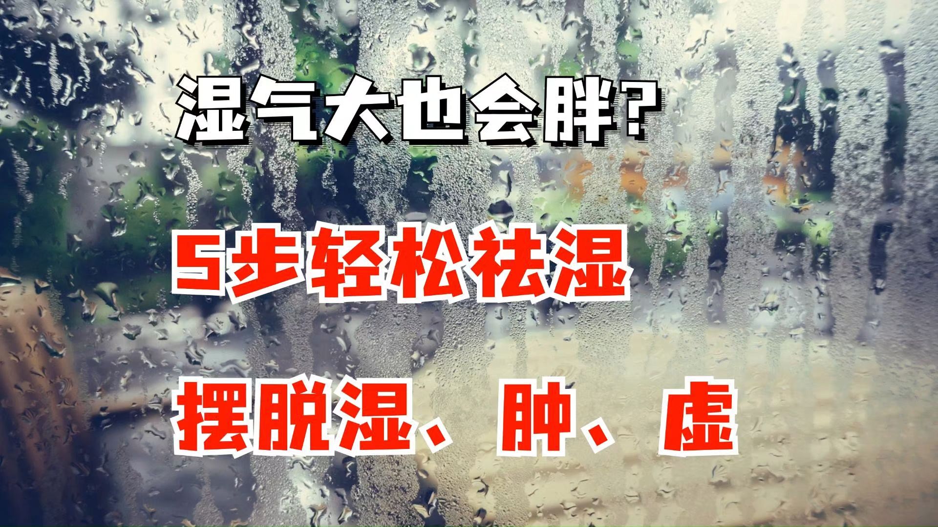 湿气大也会让你胖?5步祛湿气,摆脱湿、肿、虚哔哩哔哩bilibili