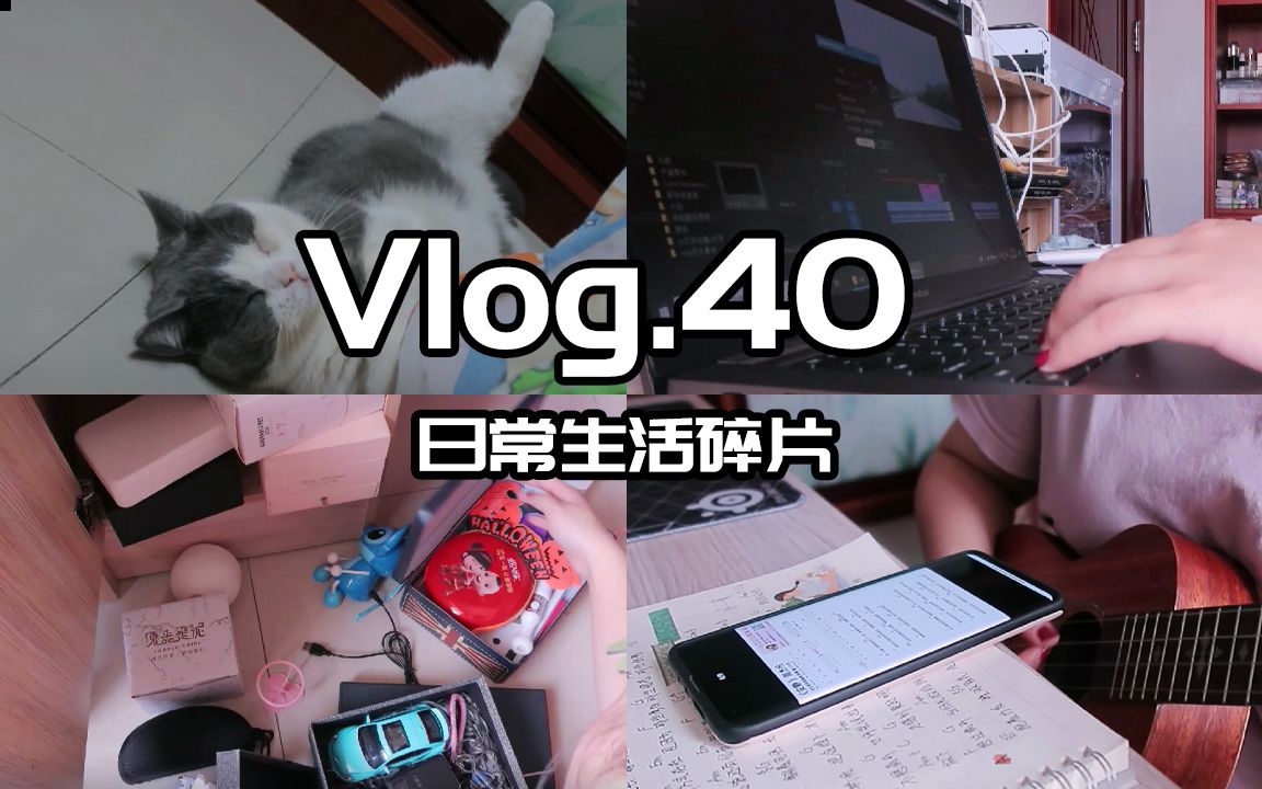 【Mendy】Vlog.40 日常生活碎片|剪视频|肥猫出境|又在整理房间|练尤克里里哔哩哔哩bilibili