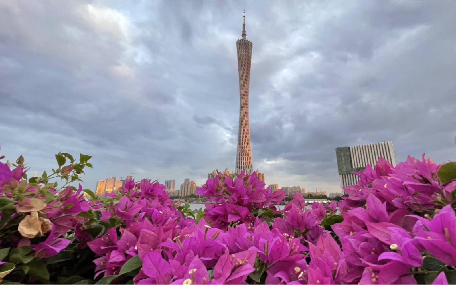 [图]刘海印象——花开广州·汇聚全球