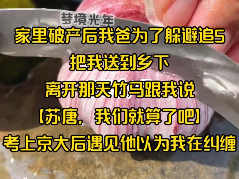 家里破产后我爸为了躲避追S,把我送到乡下,离开那天竹马跟我说【苏唐,我们就算了吧】考上京大后遇见他以为我在纠缠哔哩哔哩bilibili