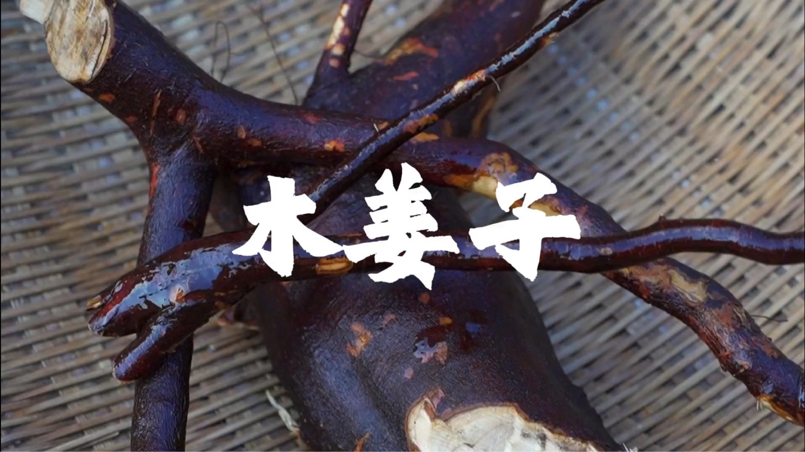 凉山地区的纯天然味精（木姜子）