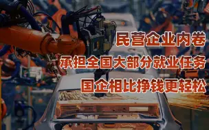 Download Video: 【卢克文工作室】中国国企与民企的关系（上）：民企激烈竞争，国企其乐融融