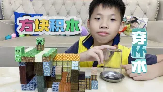 把我的世界搬到现实中，磁力积木房屋搭建，和游戏里太像了