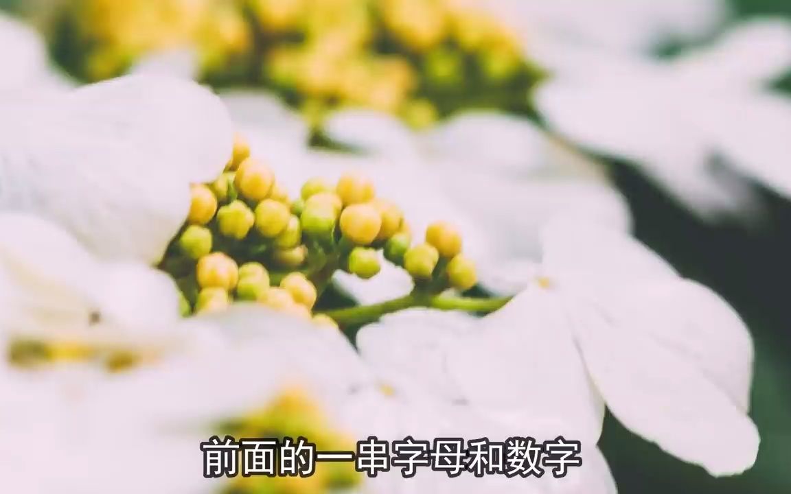 [图]法醫周海系列之危險重重的連環命案（1_4）大案紀實