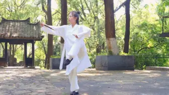 武当太极七十四式·中