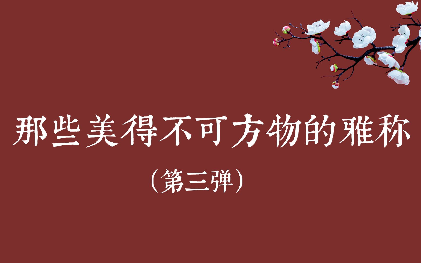 【中国式浪漫】盘点那些美得不可方物的雅称(第三弹) || 文学素材积累哔哩哔哩bilibili