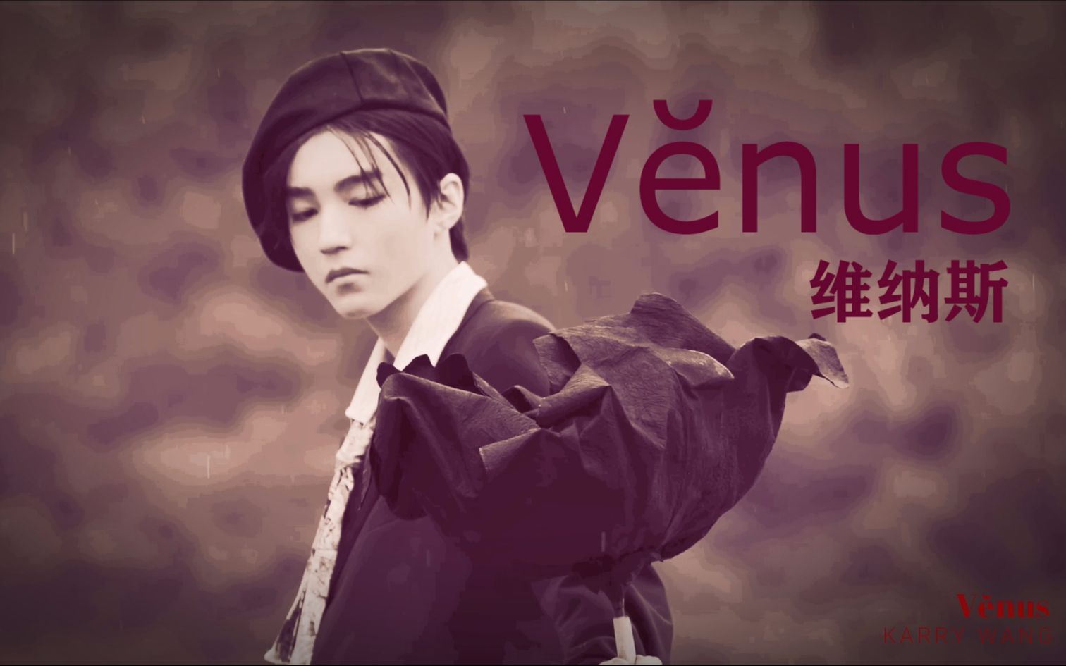 [图]【王俊凯】Venus-维纳斯 Vĕnus