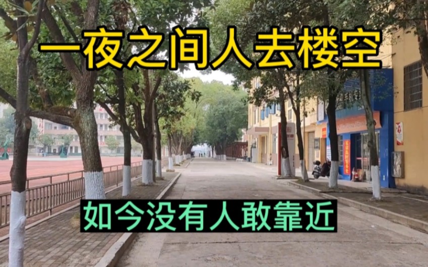 [图]娄底市人文科技学院，一夜之间人去楼空，到底发生了什么