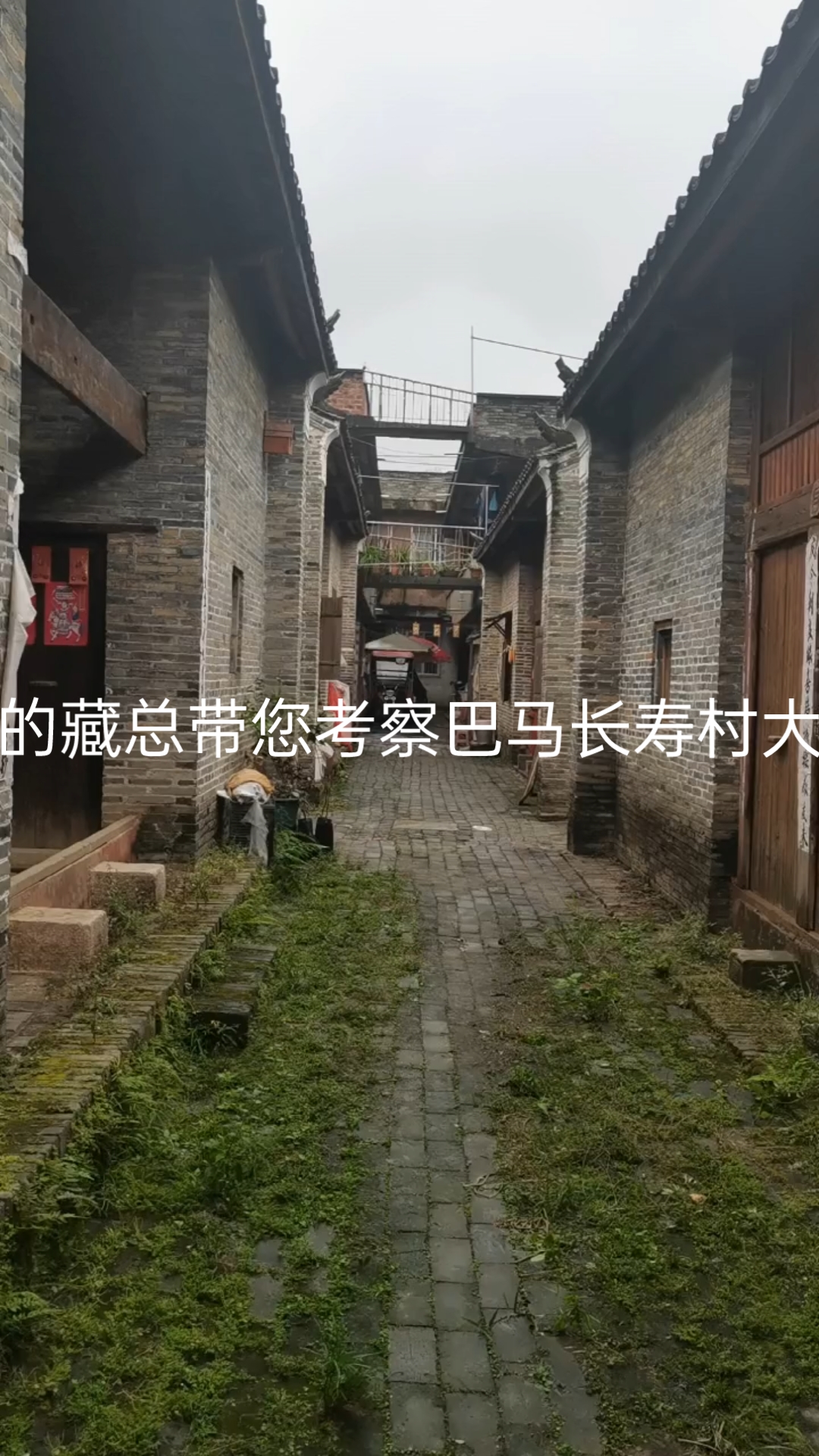 巴马大救星健康小屋示范基地哔哩哔哩bilibili